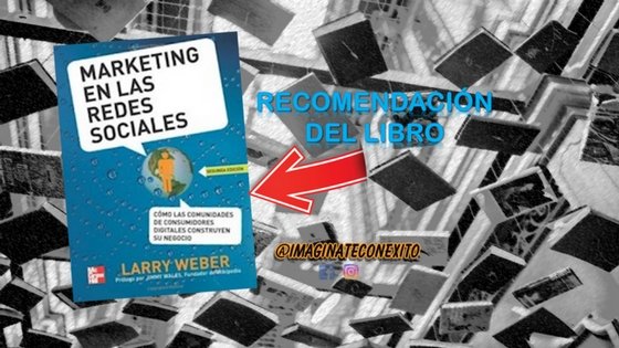 Libro marketing en las redes sociales